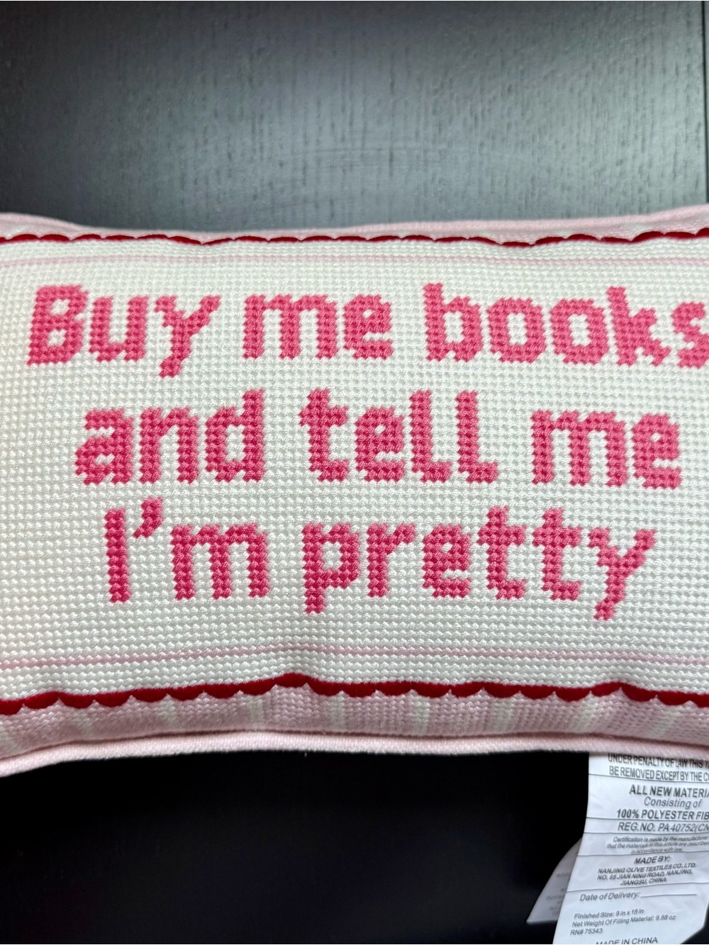 NEW buy me books and tell me I’m pretty needpoint book pillow